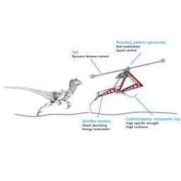 Velociraptor-robot rent supersnel en blijft stabiel