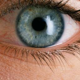 Kromme camerasensor Sony bootst oog na