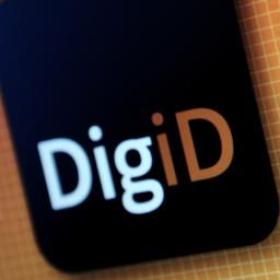 'Overheid haalt websites offline om misbruik Digid-gegevens'