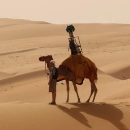 Google stuurt dromedaris met Streetview-camera de woestijn in