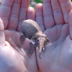 Virtual reality-bedrijf Magic Leap haalt 542 miljoen dollar op