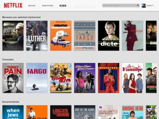 Alternatieve streamingdiensten proberen niche aan te spreken