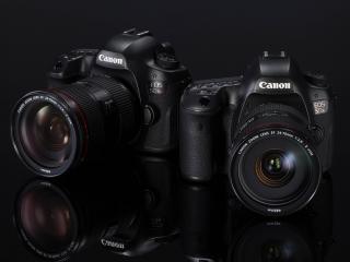 EOS 5DS en 5DS R hebben 50,6 megapixel-sensor