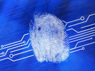 Doei, welkom123, 123456, password1, adminadmin