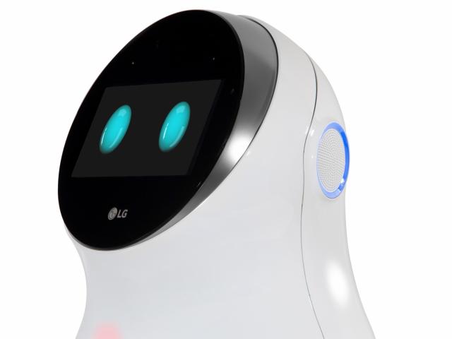 LG Hub Robot